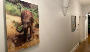 Herschel Inspire Bild