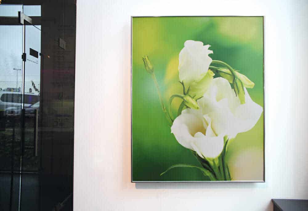 Herschel Inspire Glass picture panel