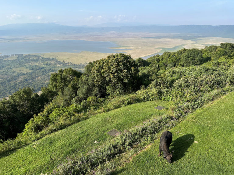 Ngorongoro Lodge Meliá, Tansania: Nachhaltige Infrarotheizung für Luxushotels